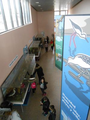 Museo de Aves en Gallocanta